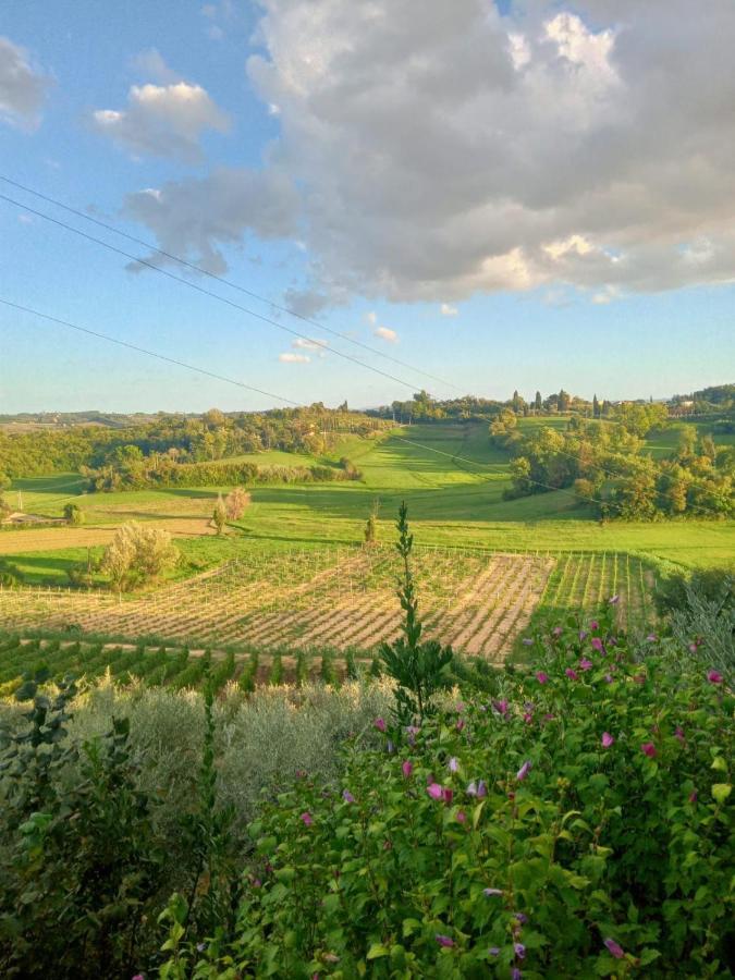 Agriturismo La Pineta Fucecchio Exteriér fotografie